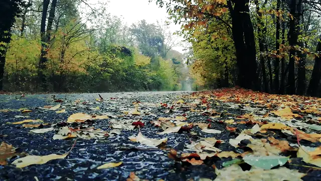 rain-hd_1920_1080_30fps