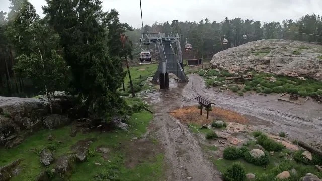 Tecknat Barn Svenska:Kolmårdens Djurpark (1965-2024) DVDRIPPEN (Svenska) Välkommen Till Kolmårdens Djurpark
